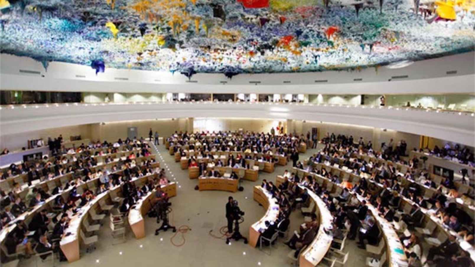 NextImg:The UN is a Terrorist Organization