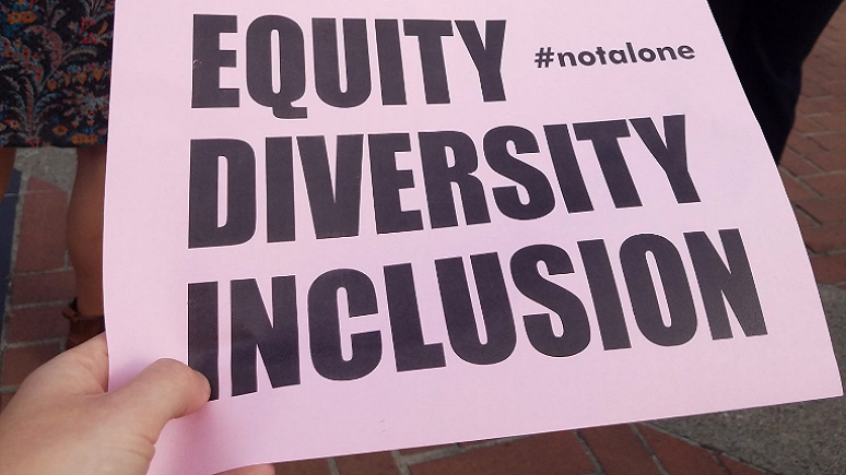 The DEI Uproar: All the Left’s Fault