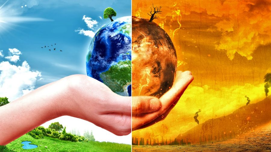 Our Feckless Nature Fakery