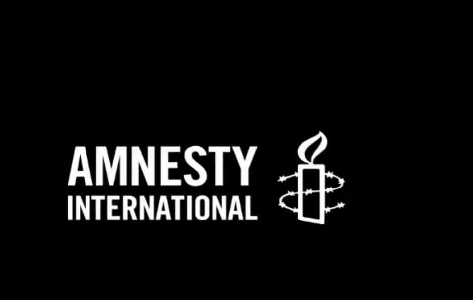 NextImg:Amnesty International Spokesman Used Org's Flash Drive for Child Porn