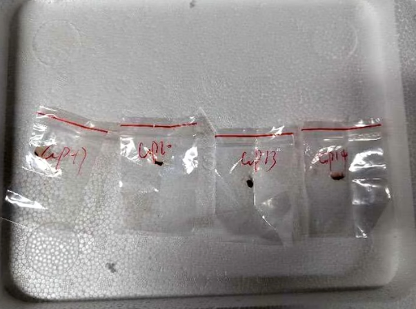 Two Chinese Scientists Busted Smuggling Agroterror Weapon
