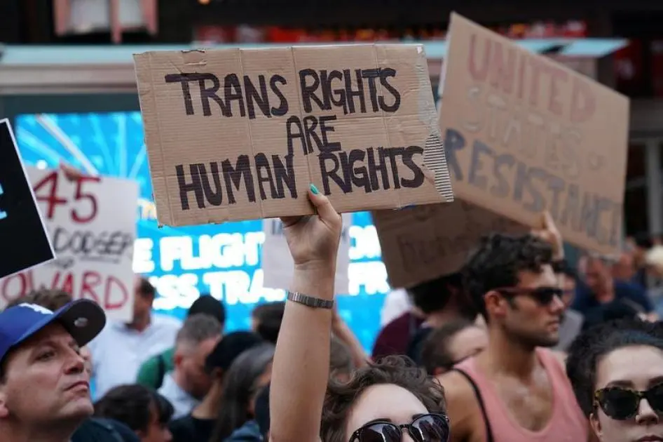 NextImg:Detransitioning Democrats