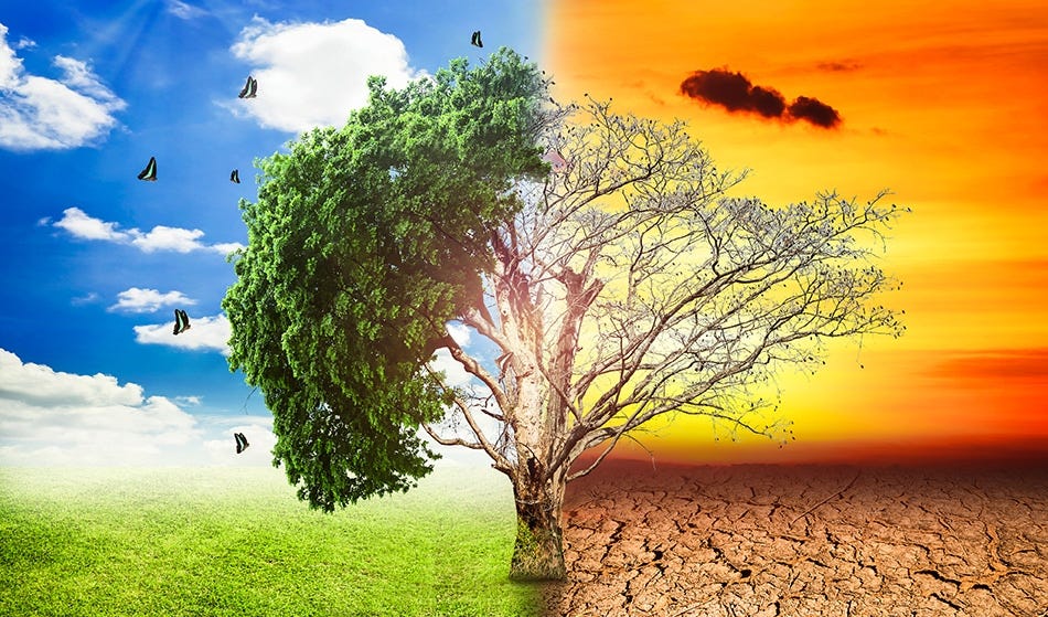 NextImg:World Court Vs. Trump Admin on Climate Change