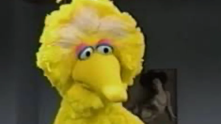NextImg:Why Won’t Liberals Save Big Bird?
