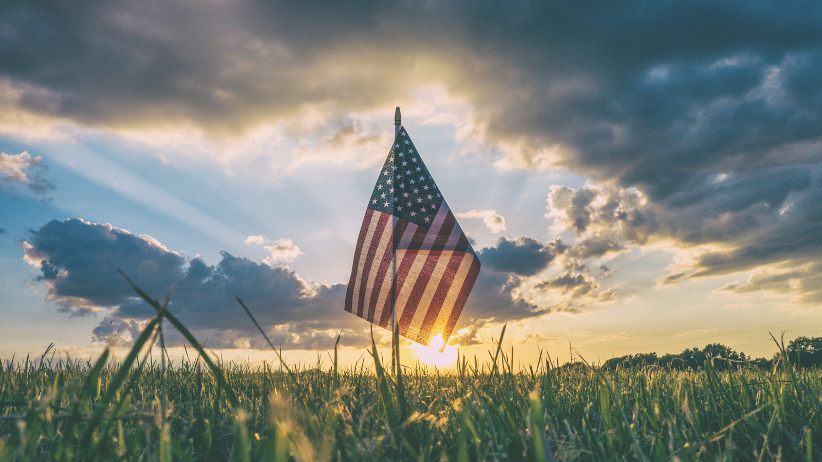 NextImg:Love Song to America