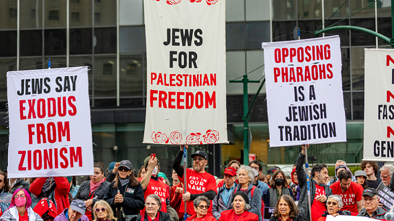 NextImg:The Token Jews: How Far-Left Jewish Voices Misrepresent American Jewry