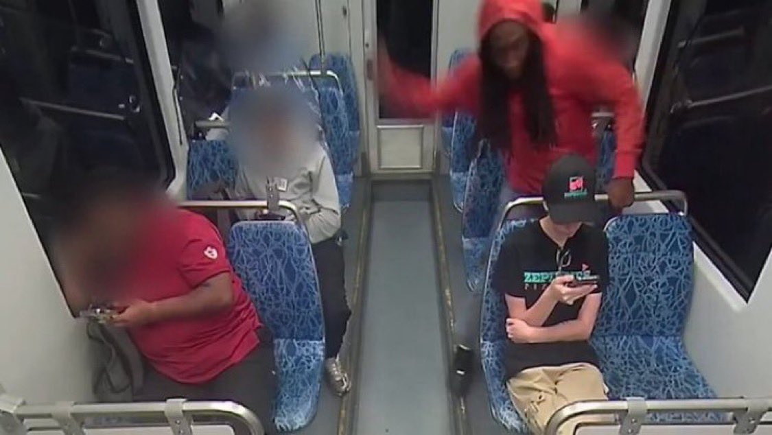 NextImg:After 14 Arrests, Career Criminal Murders Woman on Train