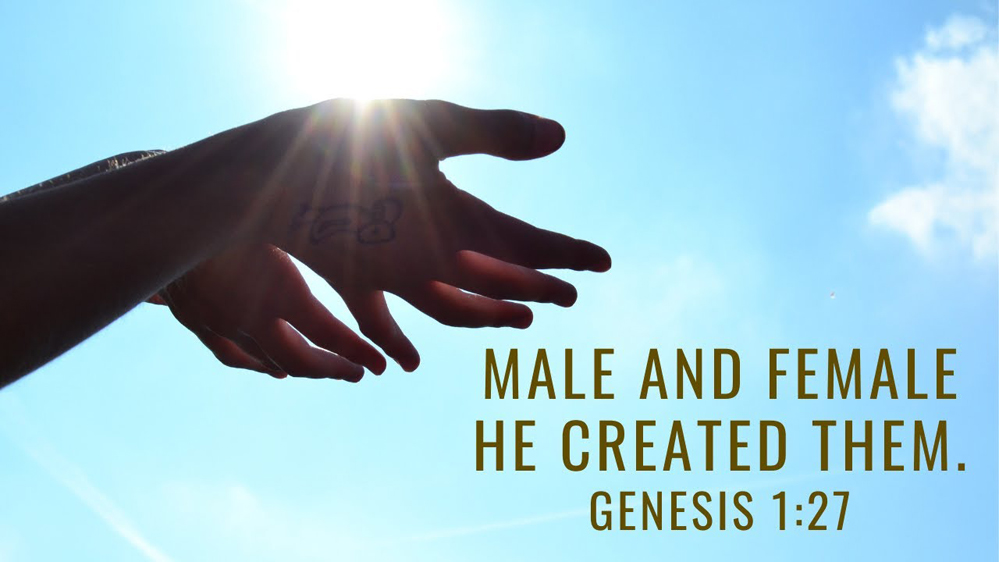 NextImg:There Aren't 6 Genders in Judaism. Only 2.