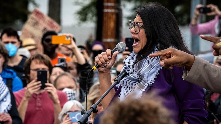 Rashida Tlaib: Why Is This Person in Congress?