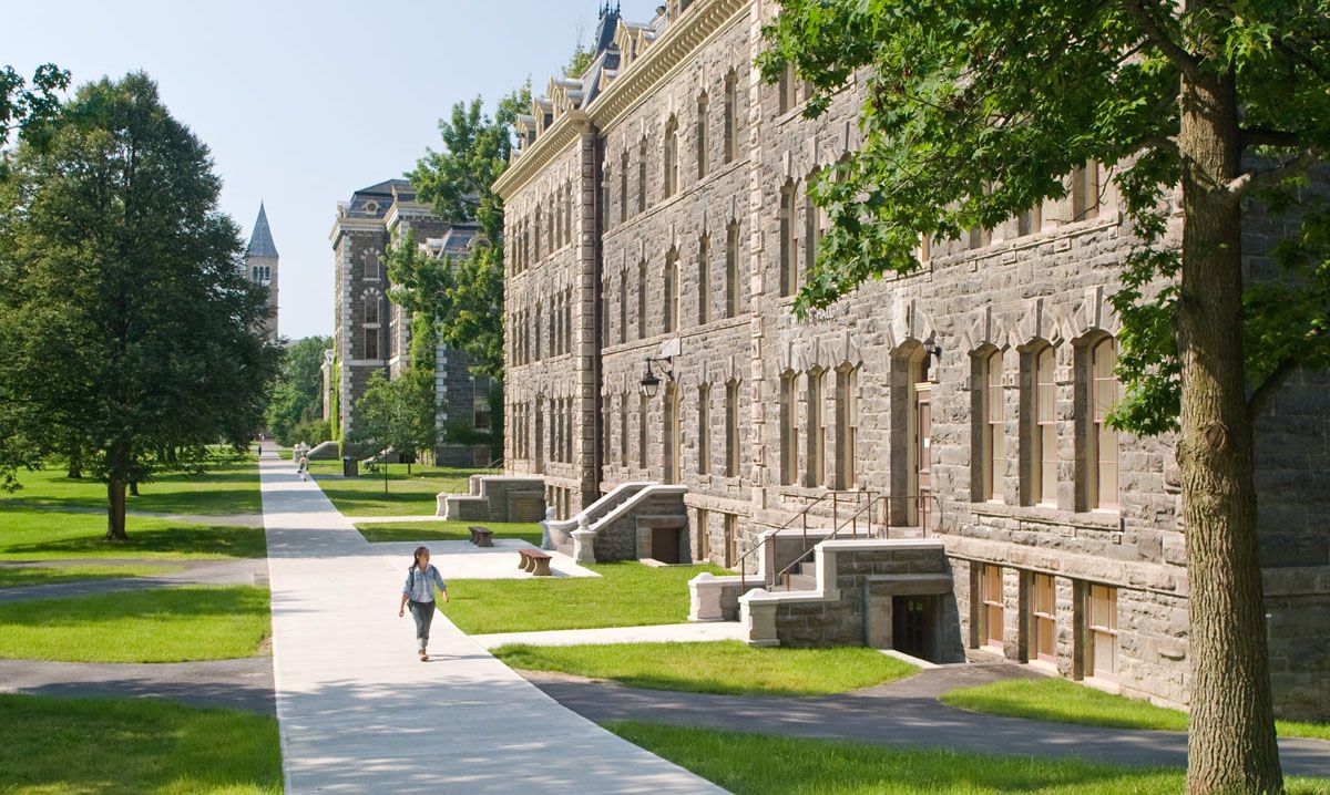 Academic Felon: Cornell University