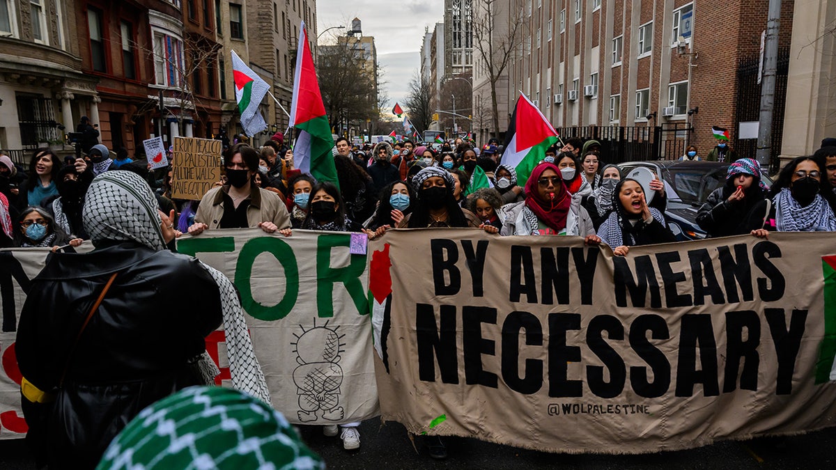 NextImg:‘Diversity’ is Driving Dem Opposition to Israel