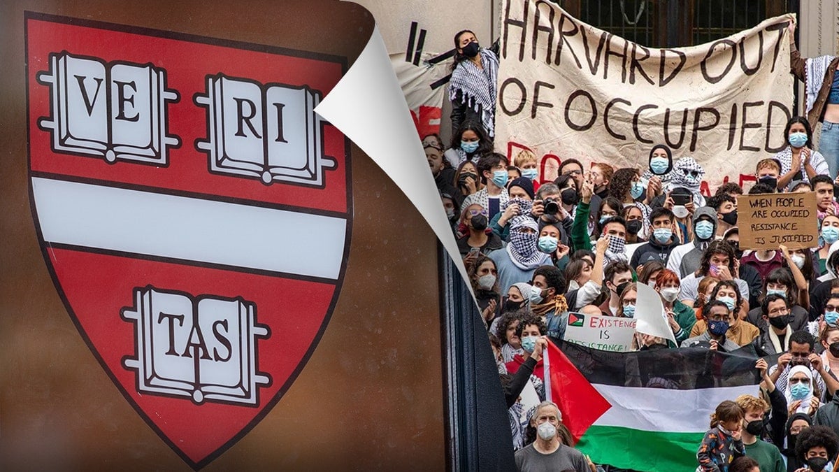 Academic Felon: Harvard University