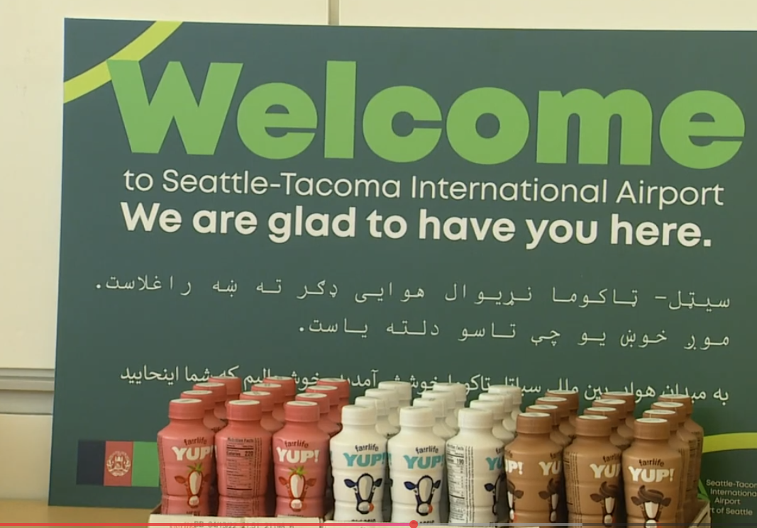 One Small Washington City Produced 3 Muslim Terrorists Who Attacked D.C.