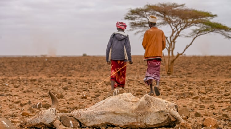 UN Fakes a Famine in Kenya to Save USAID