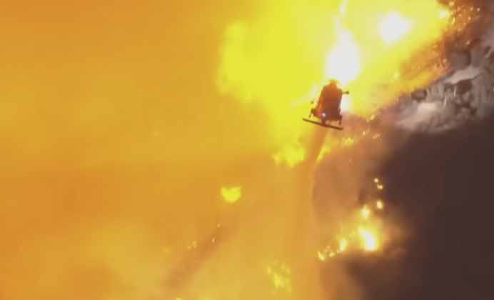 Why LAFD Refused to Put Out LA Wildfires: “Heck No That Area is Full of Endangered Plants.”