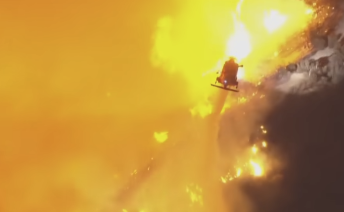 Why LAFD Refused to Put Out LA Wildfires: “Heck No That Area is Full of Endangered Plants.”