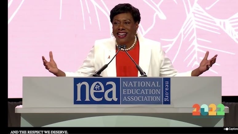 The National Extremist Association