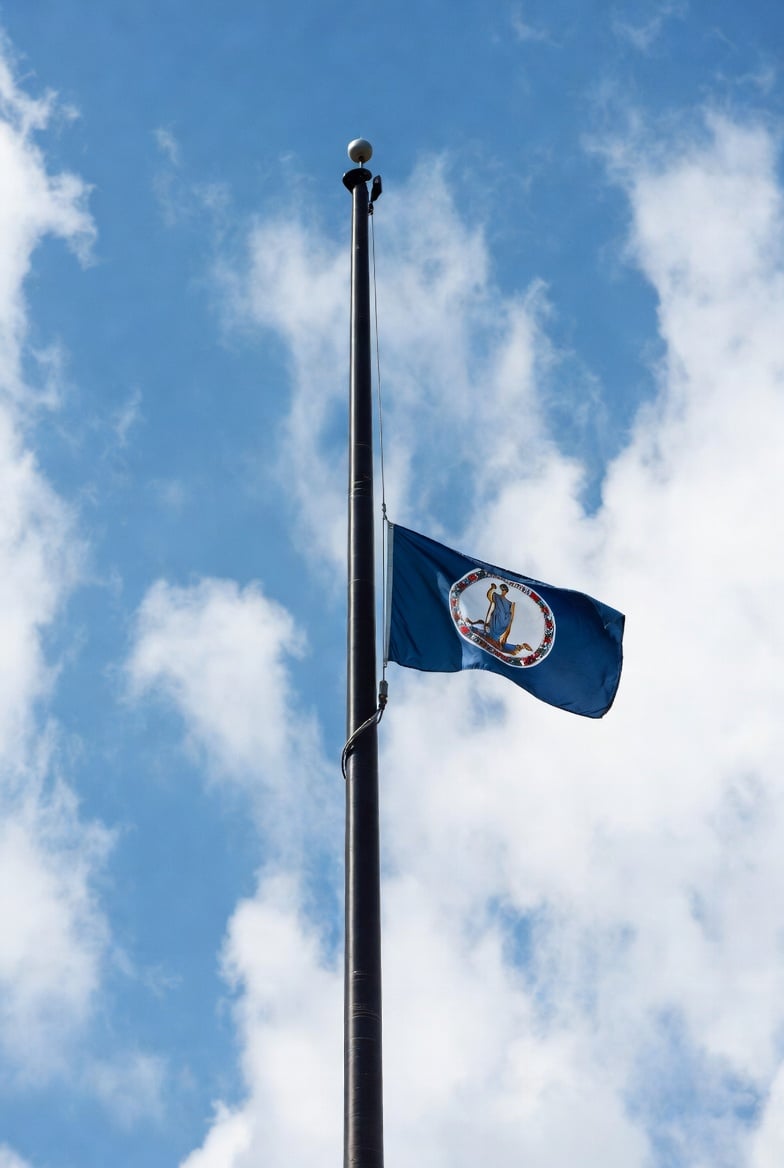 Virginia Dems Prep Disenfranchising 46% of State