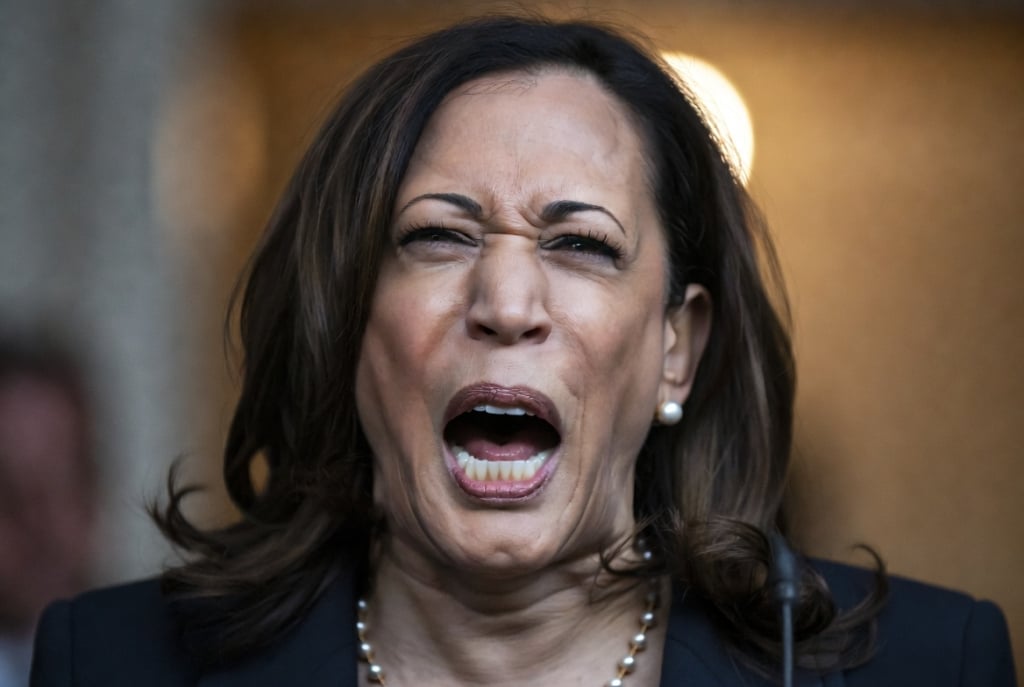 Kamala Harris Tries Out Comedy to Boost Presidential Prospects (VIDEO)