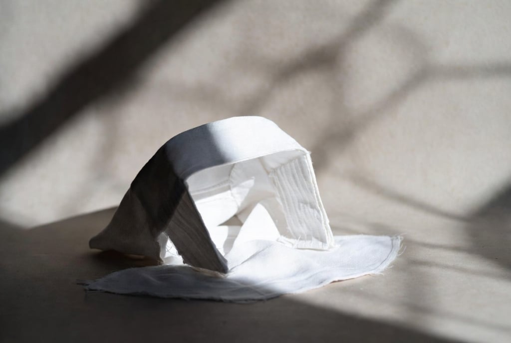 Which Is a Real Catholic Cause? Protecting Nuns or Illegal Aliens?