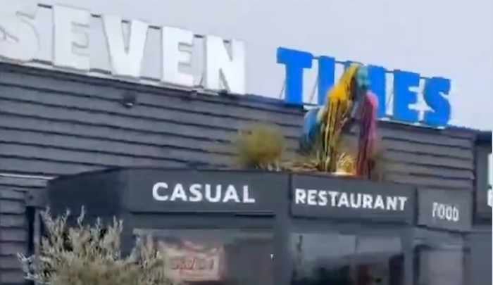 The Woes of a Halal Restaurant in Lyon, France