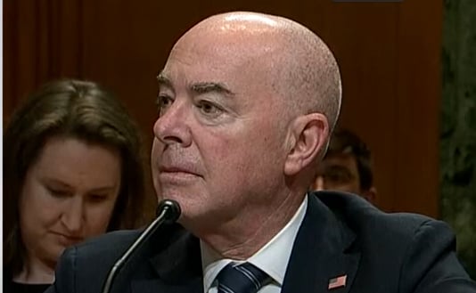 Biden’s DHS Secretary: Yeah, We Pretty Much Let Anyone In