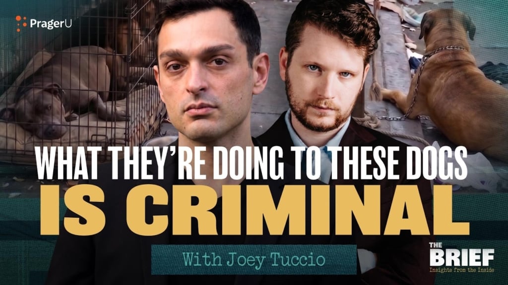 PragerU Video: The Animal Crisis in L.A. that City Hall Doesn’t Want You to See