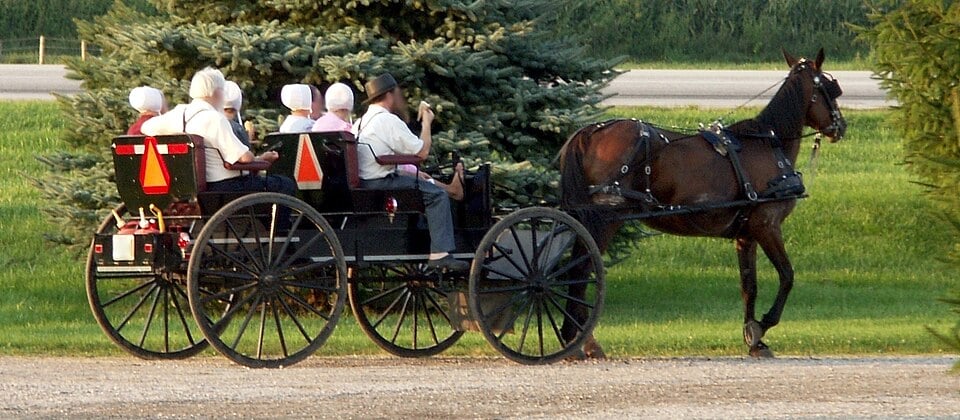 Why We Don't Care That the Amish ‘Don't Assimilate’