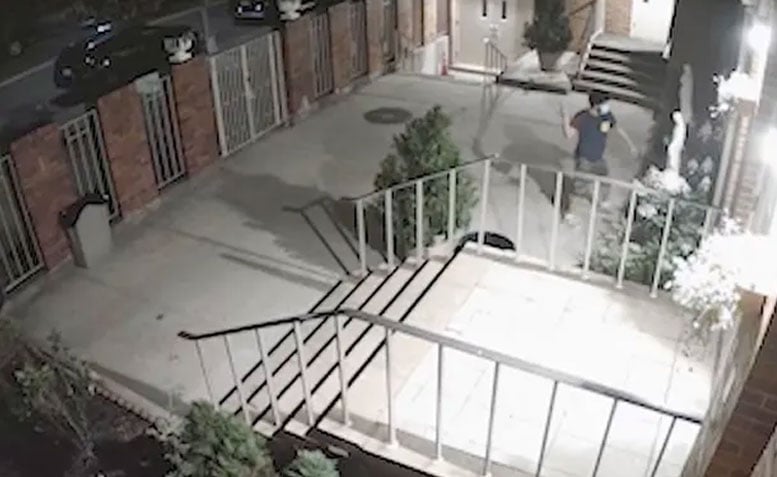 Man Decapitates Virgin Mary Statue in New York City